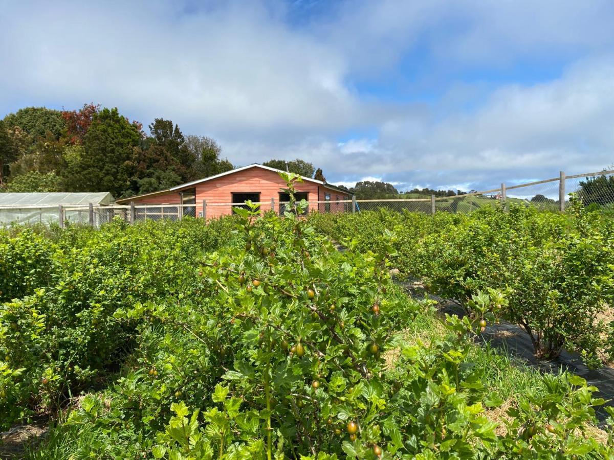 Cabana Nueva En Ancud Chiloe エクステリア 写真