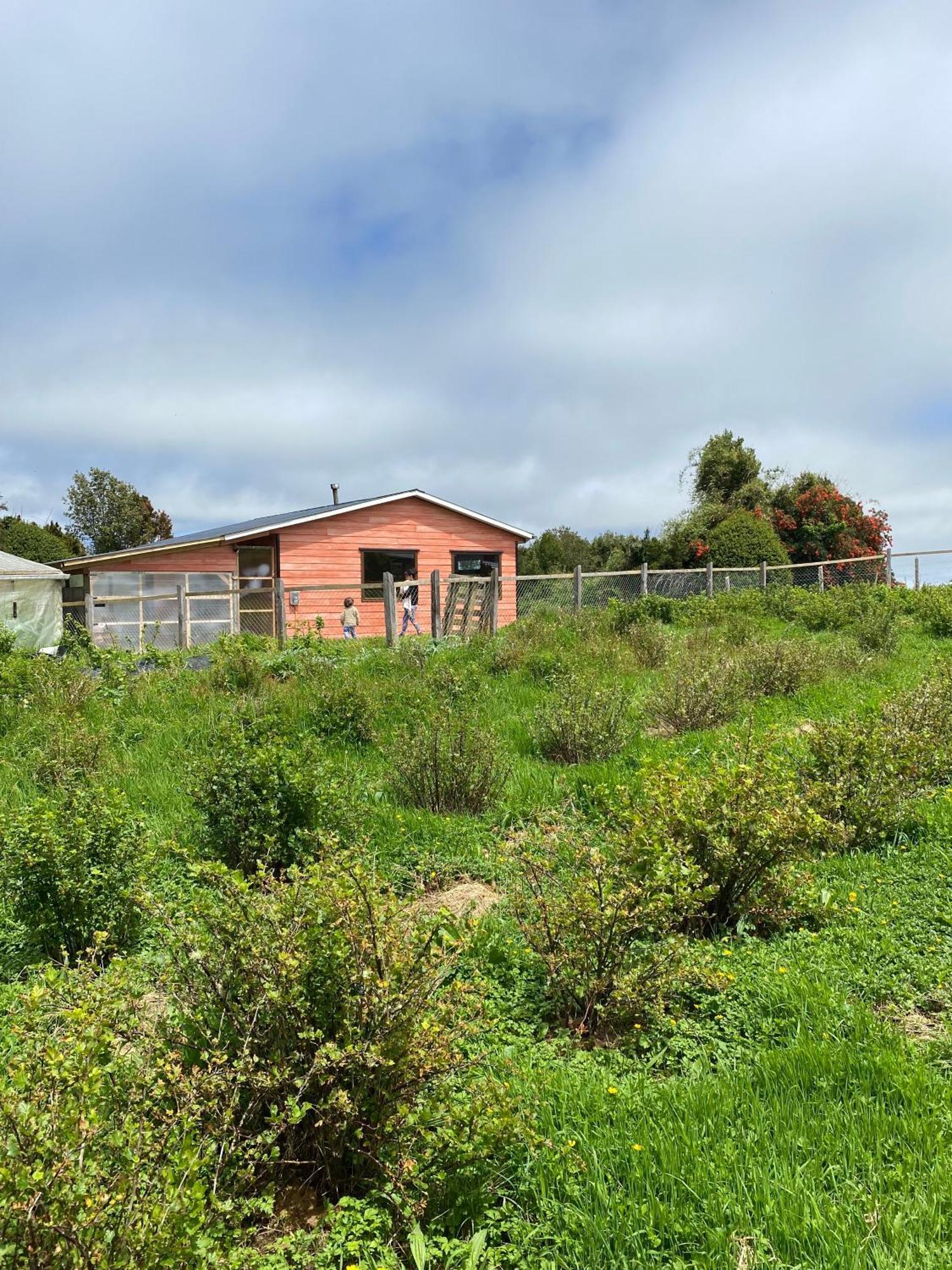 Cabana Nueva En Ancud Chiloe 部屋 写真